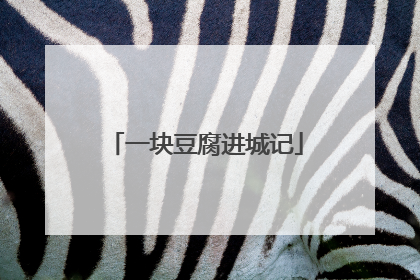 一块豆腐进城记