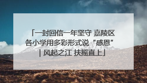 一封回信一年坚守 嘉陵区各小学用多彩形式说“感恩”｜风起之江 扶摇直上