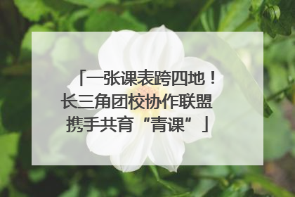 一张课表跨四地！长三角团校协作联盟携手共育“青课”