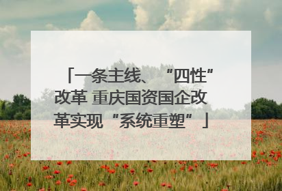 一条主线、“四性”改革 重庆国资国企改革实现“系统重塑”