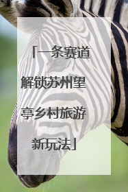 一条赛道解锁苏州望亭乡村旅游新玩法