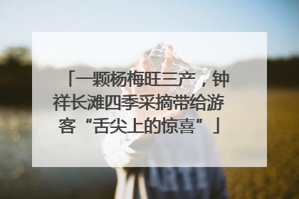 一颗杨梅旺三产，钟祥长滩四季采摘带给游客“舌尖上的惊喜”