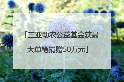 三亚助农公益基金获最大单笔捐赠50万元