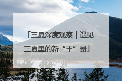 三夏深度观察｜遇见三夏里的新“丰”景
