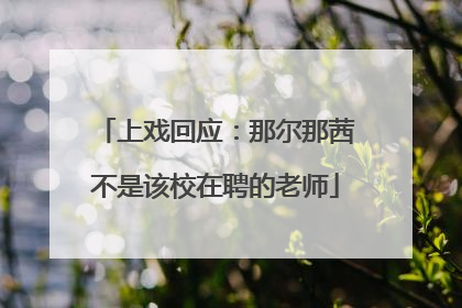 上戏回应：那尔那茜不是该校在聘的老师