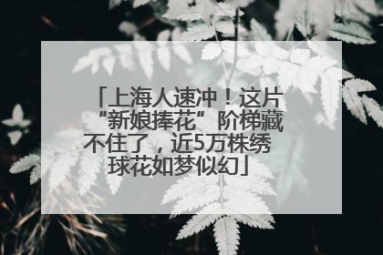 上海人速冲！这片“新娘捧花”阶梯藏不住了，近5万株绣球花如梦似幻