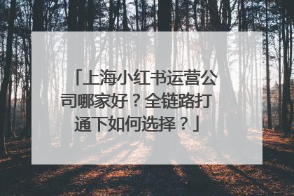 上海小红书运营公司哪家好？全链路打通下如何选择？