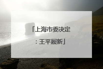 上海市委决定：王平履新