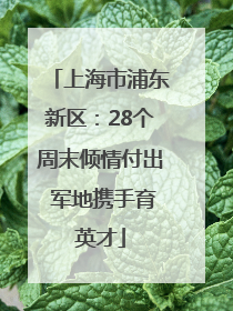 上海市浦东新区：28个周末倾情付出 军地携手育英才