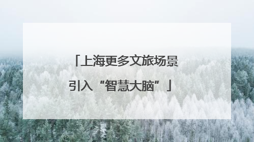 上海更多文旅场景引入“智慧大脑”