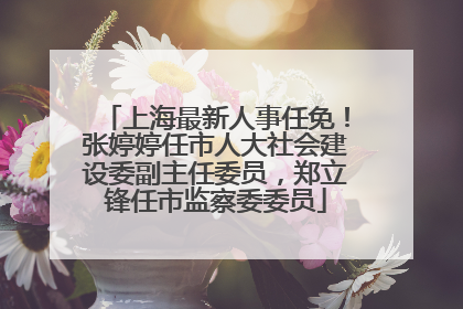 上海最新人事任免！张婷婷任市人大社会建设委副主任委员，郑立锋任市监察委委员