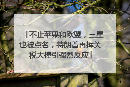 不止苹果和欧盟，三星也被点名，特朗普再挥关税大棒引强烈反应