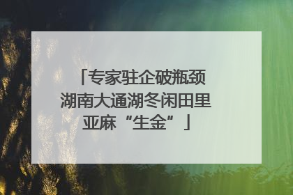 专家驻企破瓶颈 湖南大通湖冬闲田里亚麻“生金”