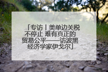 专访丨美单边关税不停止 难有真正的贸易公平——访波黑经济学家伊戈尔