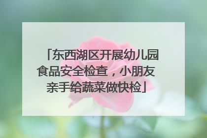 东西湖区开展幼儿园食品安全检查，小朋友亲手给蔬菜做快检