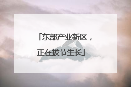 东部产业新区，正在拔节生长