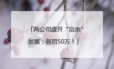 两公司虚开“富余”发票，各罚50万！