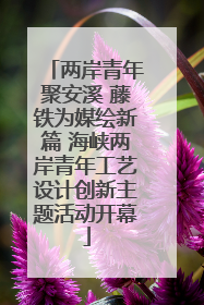 两岸青年聚安溪 藤铁为媒绘新篇 海峡两岸青年工艺设计创新主题活动开幕
