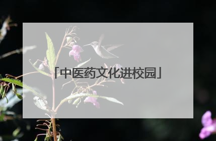中医药文化进校园
