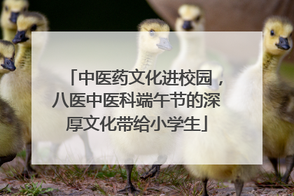 中医药文化进校园，八医中医科端午节的深厚文化带给小学生
