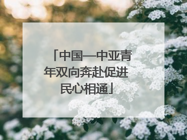 中国—中亚青年双向奔赴促进民心相通