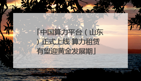 中国算力平台（山东）正式上线 算力租赁有望迎黄金发展期
