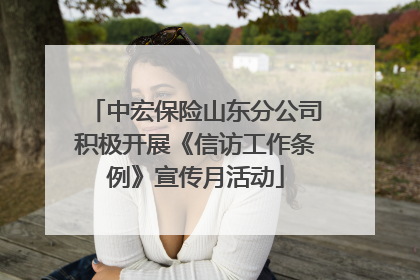 中宏保险山东分公司积极开展《信访工作条例》宣传月活动