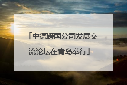 中德跨国公司发展交流论坛在青岛举行