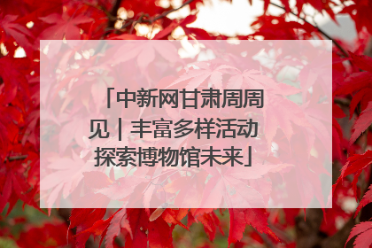 中新网甘肃周周见｜丰富多样活动探索博物馆未来