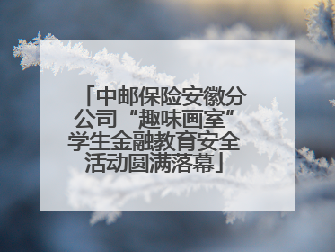 中邮保险安徽分公司“趣味画室”学生金融教育安全活动圆满落幕