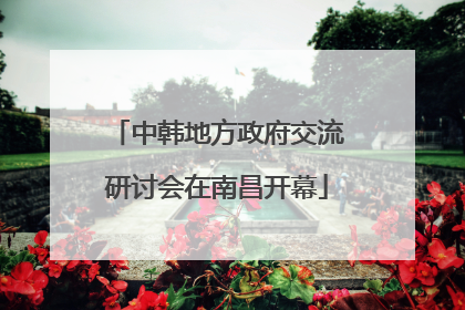 中韩地方政府交流研讨会在南昌开幕