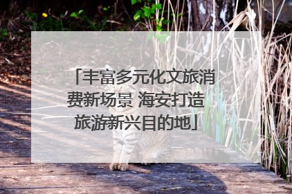 丰富多元化文旅消费新场景 海安打造旅游新兴目的地