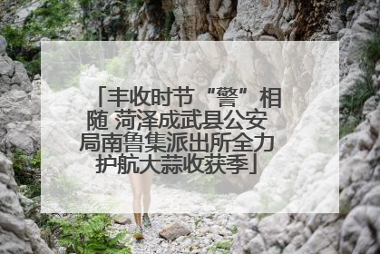 丰收时节“警”相随 菏泽成武县公安局南鲁集派出所全力护航大蒜收获季