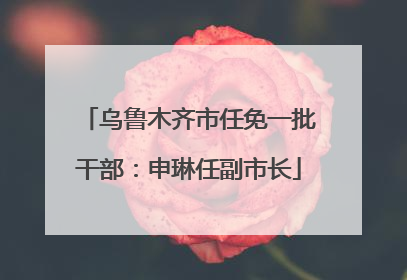 乌鲁木齐市任免一批干部：申琳任副市长