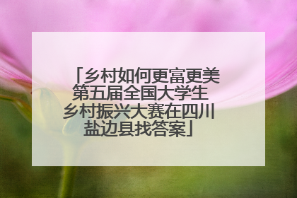 乡村如何更富更美 第五届全国大学生乡村振兴大赛在四川盐边县找答案