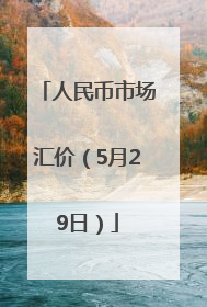 人民币市场汇价（5月29日）
