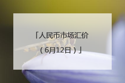 人民币市场汇价（6月12日）