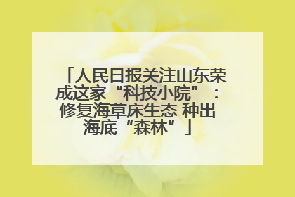 人民日报关注山东荣成这家“科技小院”：修复海草床生态 种出海底“森林”