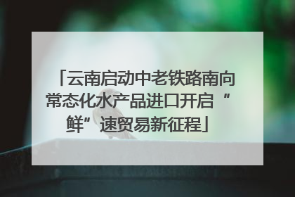 云南启动中老铁路南向常态化水产品进口开启“鲜”速贸易新征程