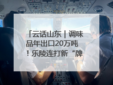 云话山东｜调味品年出口20万吨！乐陵连打新“牌”助力企业出海