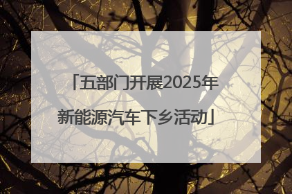 五部门开展2025年新能源汽车下乡活动