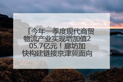 今年一季度现代商贸物流产业实现增加值205.7亿元！廊坊加快构建链接京津冀面向全世界的物流通道