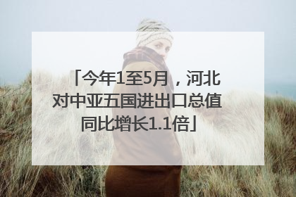 今年1至5月，河北对中亚五国进出口总值同比增长1.1倍