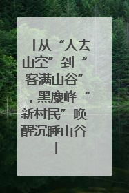 从“人去山空”到“客满山谷”，黑麋峰“新村民”唤醒沉睡山谷