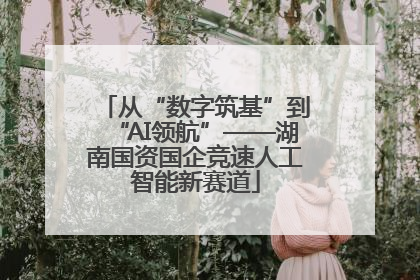 从“数字筑基”到“AI领航”——湖南国资国企竞速人工智能新赛道