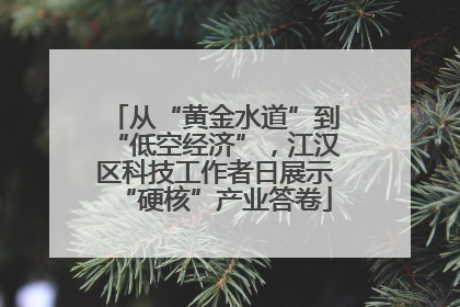 从“黄金水道”到“低空经济”，江汉区科技工作者日展示“硬核”产业答卷