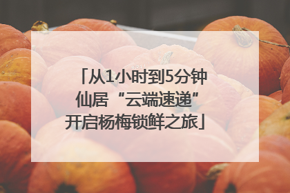 从1小时到5分钟 仙居“云端速递”开启杨梅锁鲜之旅
