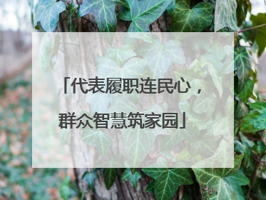 代表履职连民心，群众智慧筑家园
