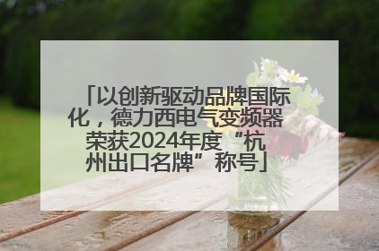 以创新驱动品牌国际化，德力西电气变频器荣获2024年度“杭州出口名牌”称号