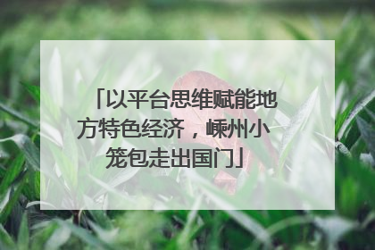 以平台思维赋能地方特色经济，嵊州小笼包走出国门